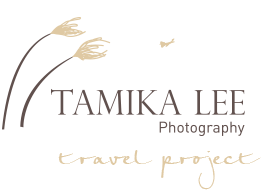 Travel Project Logo